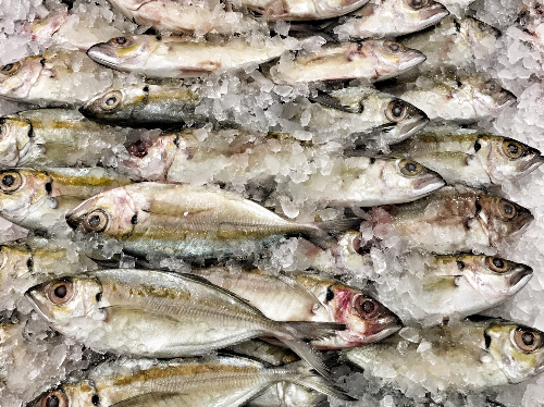 당뇨병 증상과 예방음식