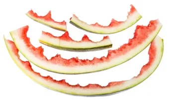 수박껍질 음식물쓰레기 헷갈리는 분들을 위한 정확한 정리_4