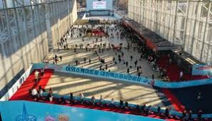 대전 도심 속 겨울왕국, 엑스포 스케이트장