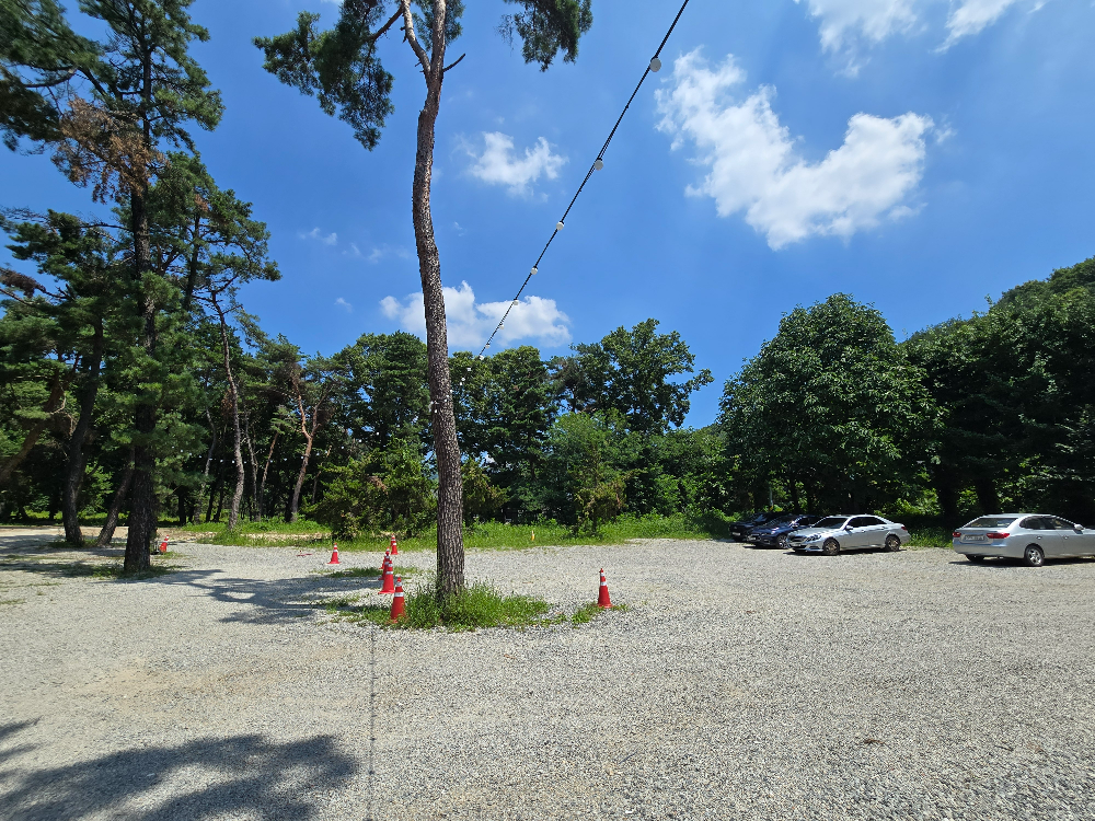 피노베이커리카페3