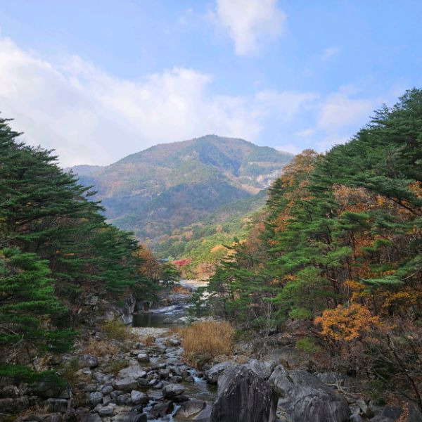 무릉계곡