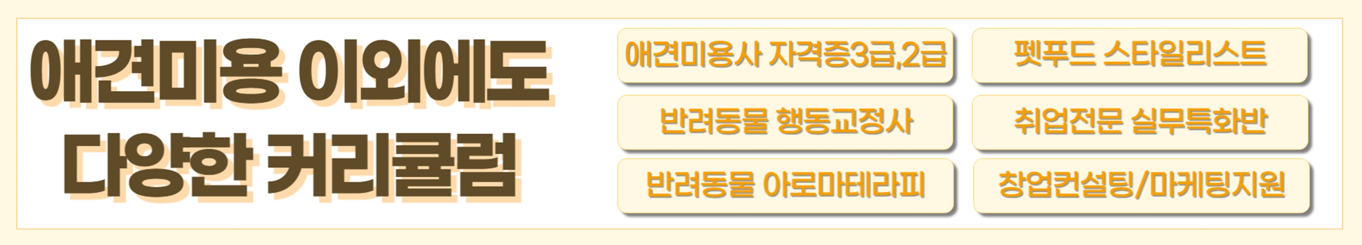 이바우펫 애견미용학원 명품