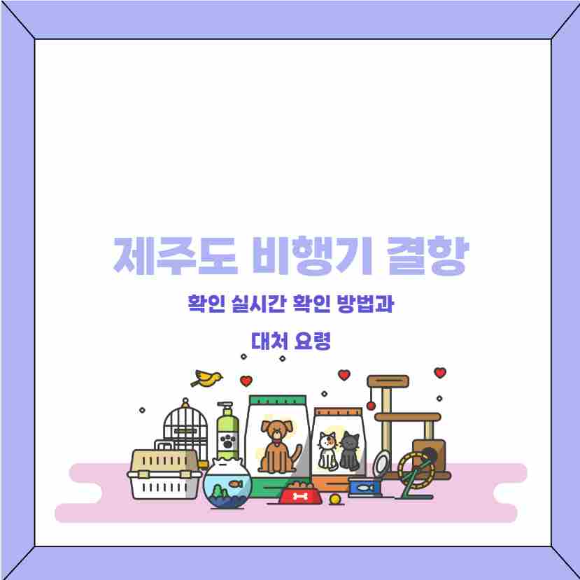 제주도 비행기 결항 확인 실시간 확인 방법과 대처 요령