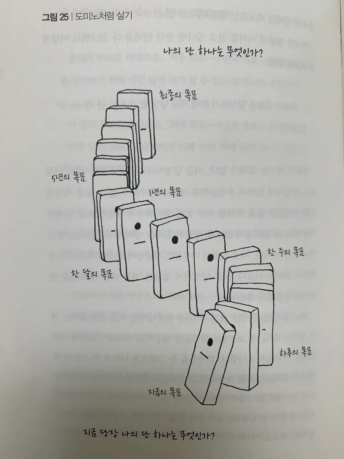 길게-줄세워진-도미노