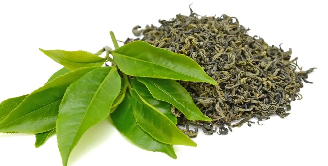 카테킨 효능 부작용 복용법 및 카테킨 많은 음식 정리