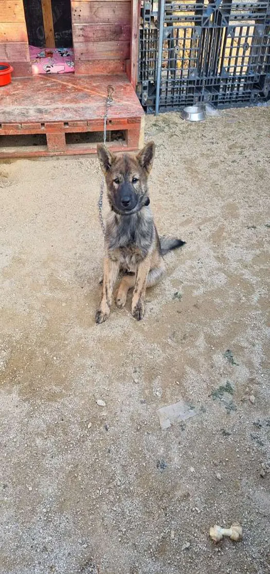 법무사정권식사무소