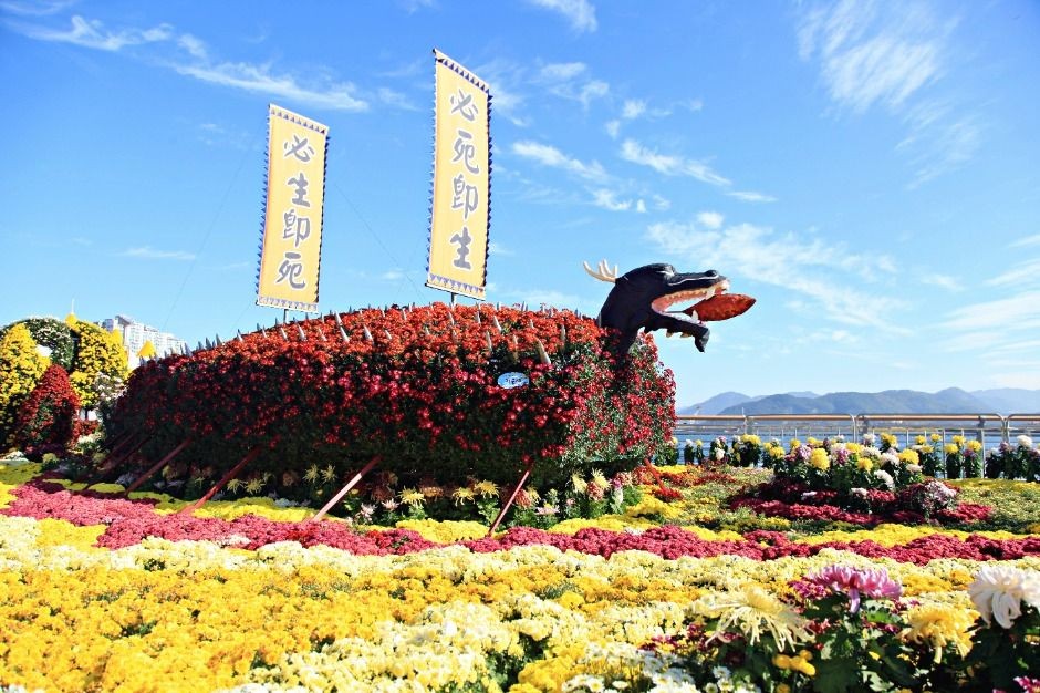 2025 제25회 마산 가고파 국화축제 ❘ 일정·장소·불꽃쇼·볼거리 완벽 가이드 관련 사진