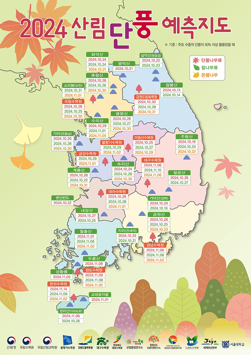 2024년 가을 단풍 시기 (단풍 절정기) 추천 여행지 🍁