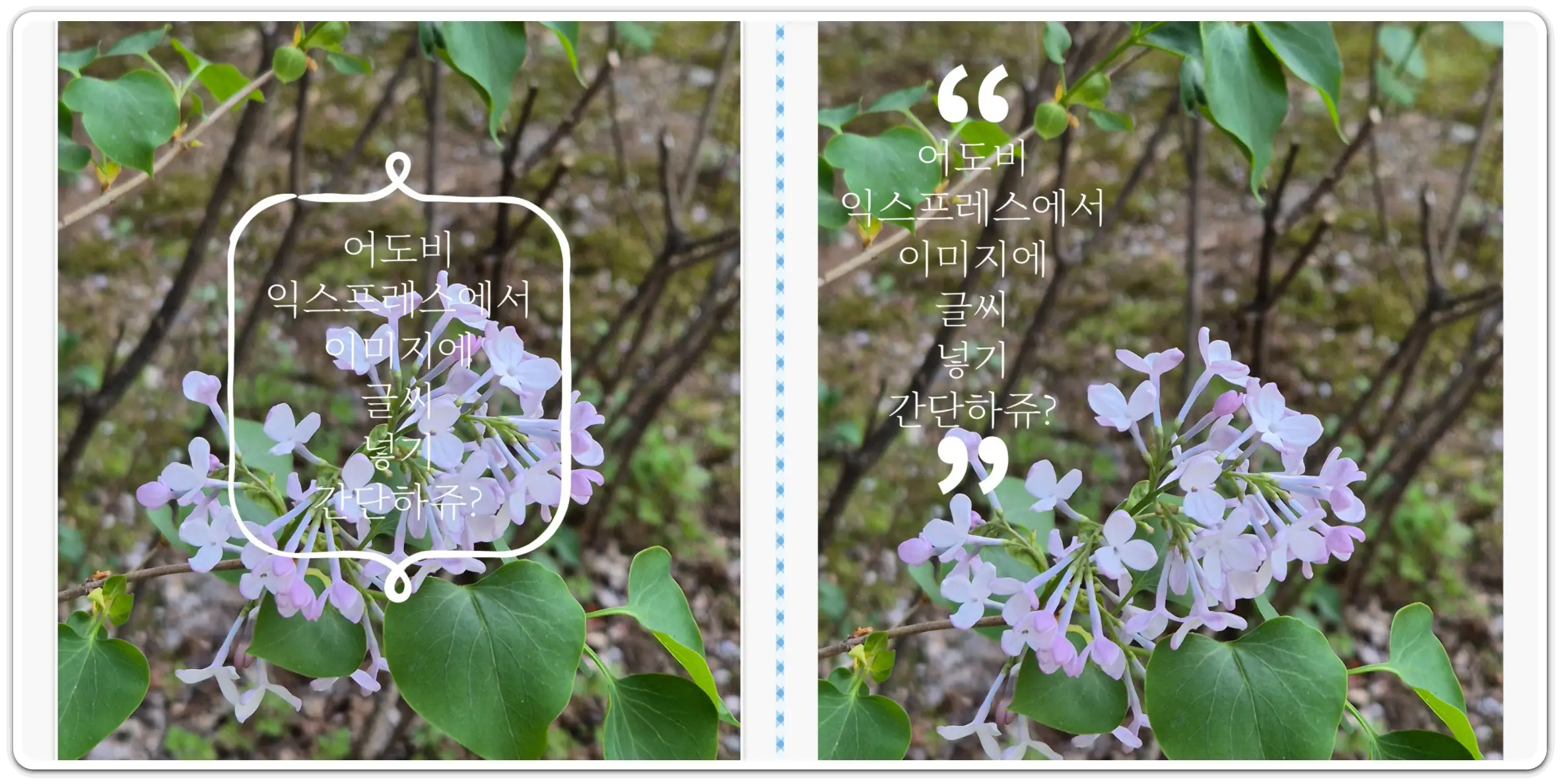 핸드폰으로-사진에-글씨-넣기-방법