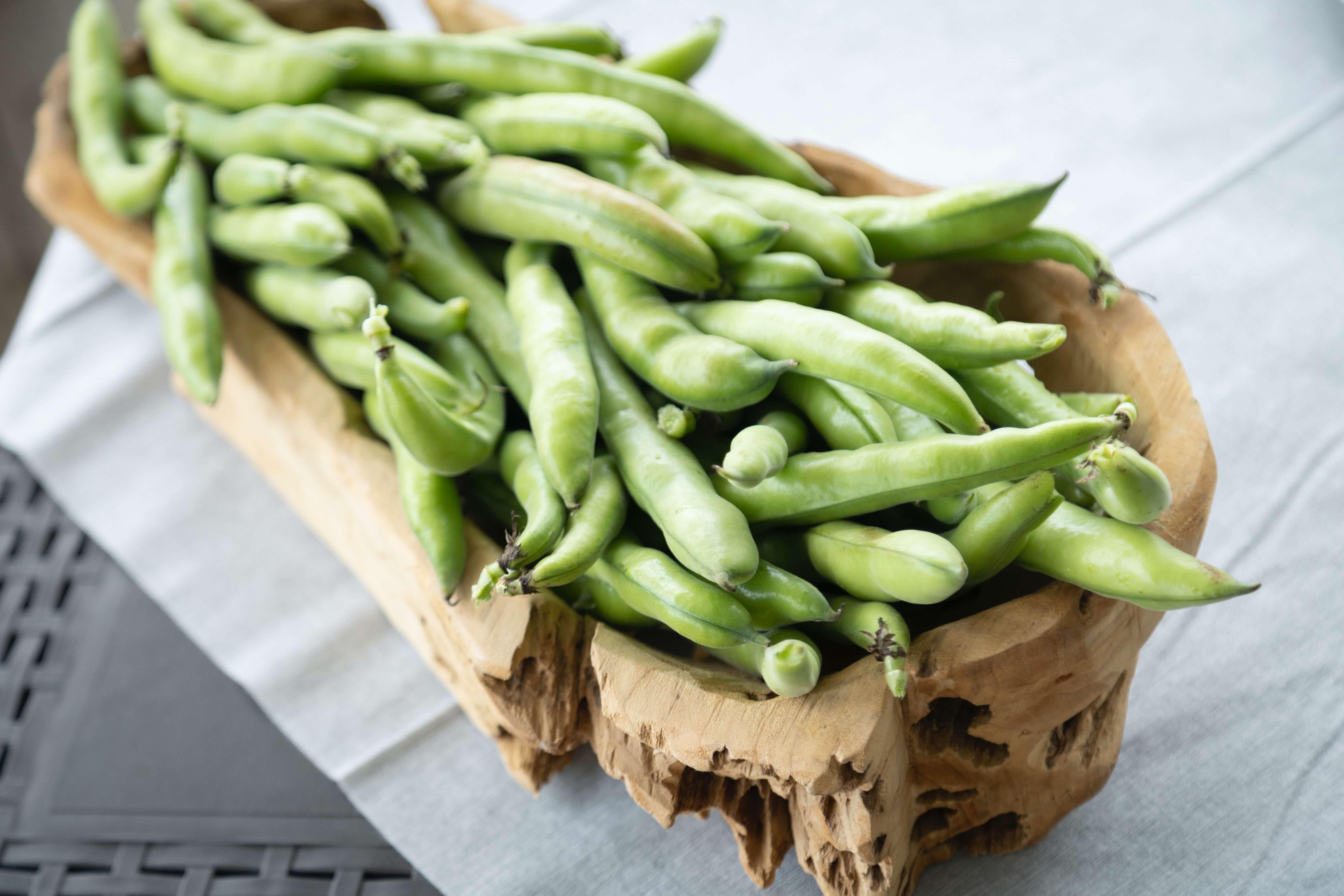 당뇨_잡는_슈퍼푸드_파바빈