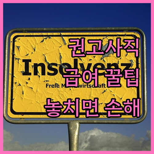 회사 권고사직 시 실업급여 혜택 비교..
