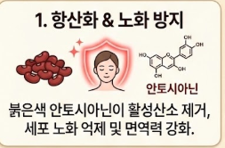 동지 팥죽 만드는 법