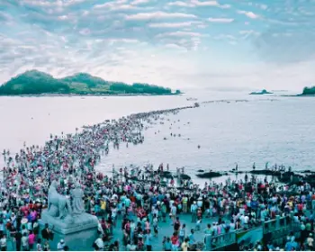진도 신비의 바닷길 축제_25