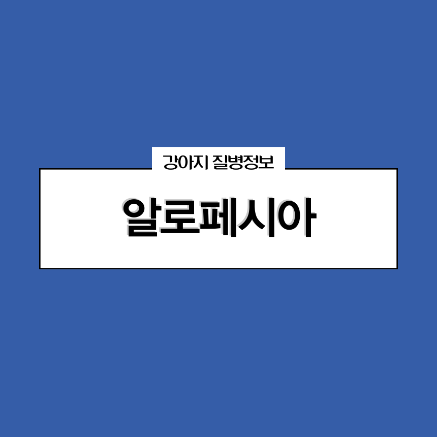 알로페시아