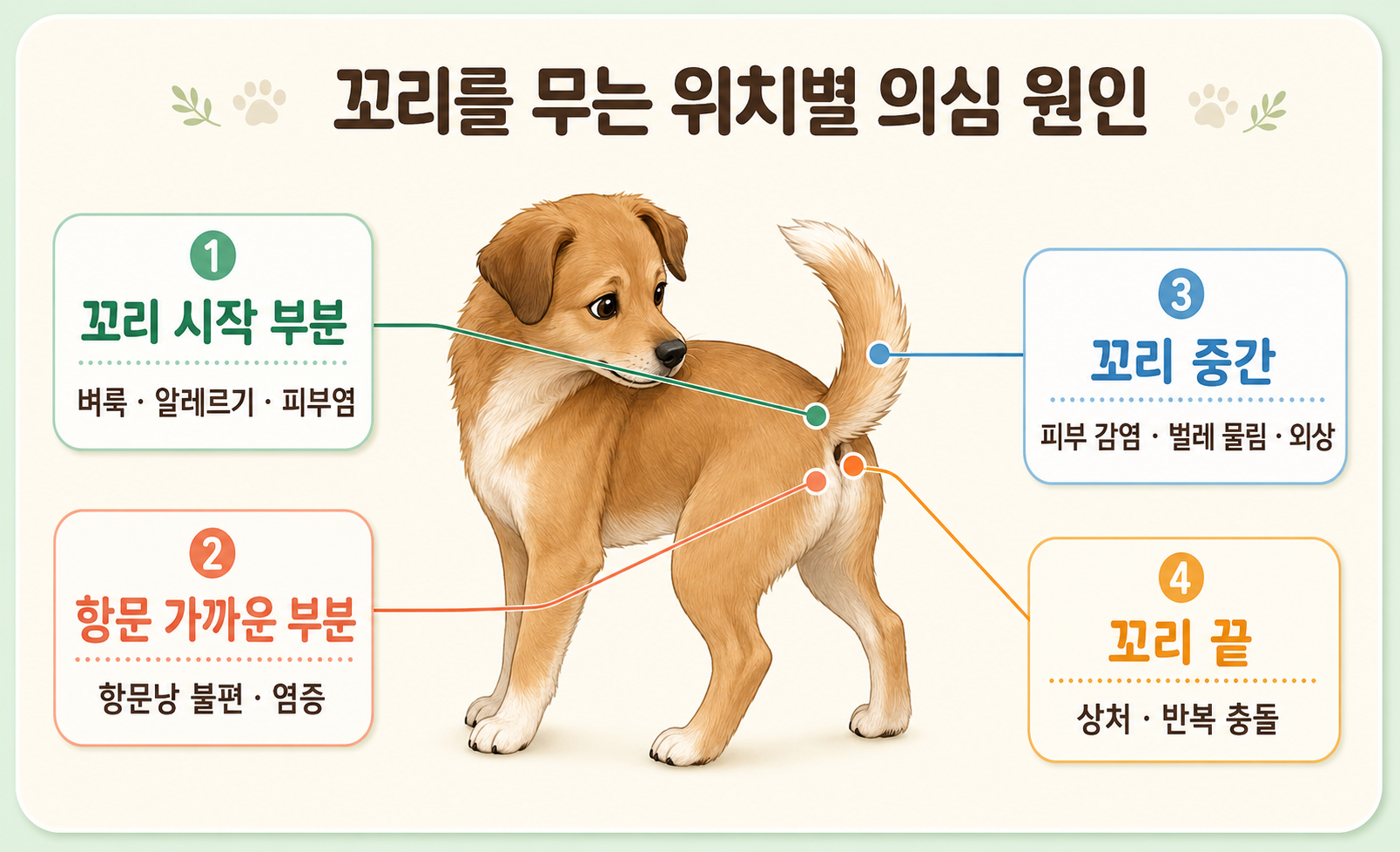강아지가 꼬리를 무는 위치별 원인과 피부 질환, 항문낭 문제를 설명하는 이미지