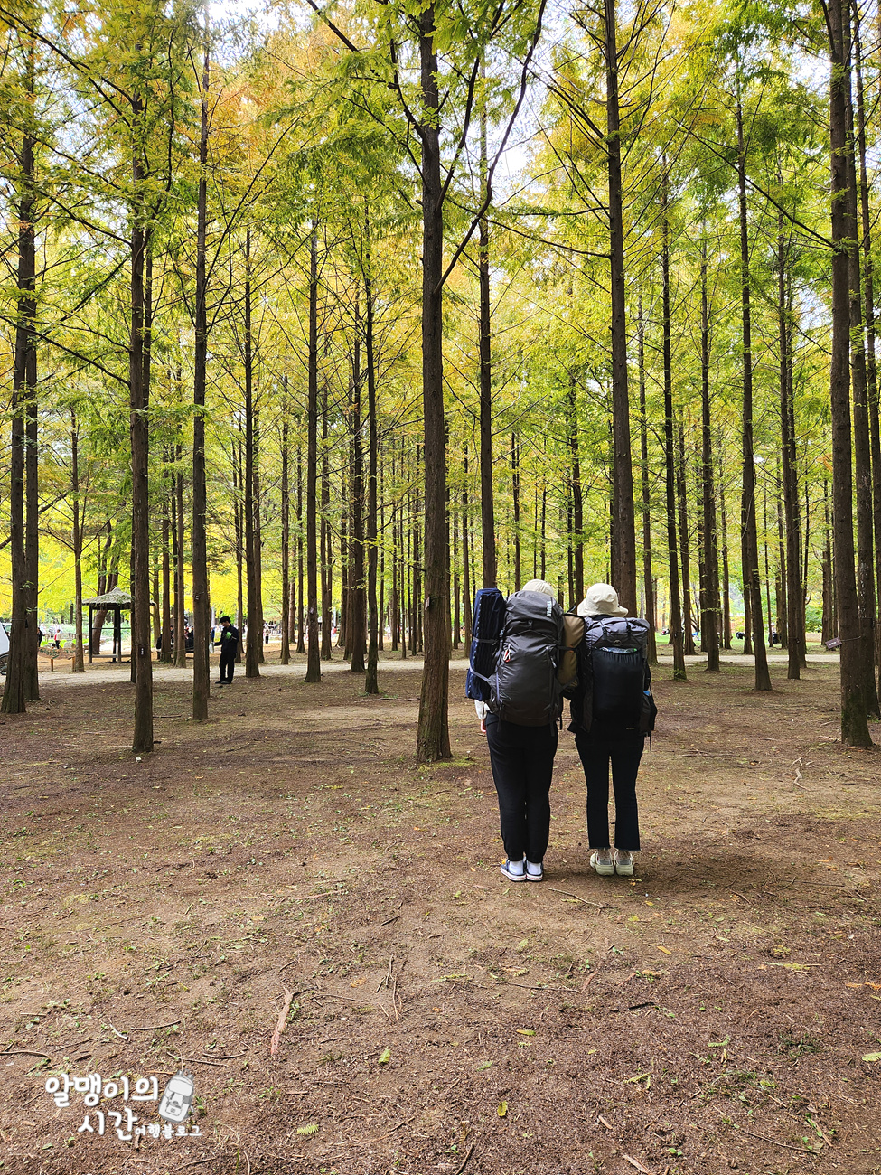 #27 엄마랑 춘천 남이섬 모녀 백패킹 _캠핑 초보자 박지 추천 - undefined - 첫 배 들어오기 전 고요한 남이섬의 아침 #27 엄마랑 춘천 남이섬 모녀 백패킹 _캠핑 초보자 박지 추천 - undefined - 첫 배 들어오기 전 고요한 남이섬의 아침