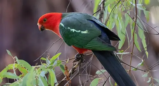 아빠 육아휴직 장려금 신청 방법