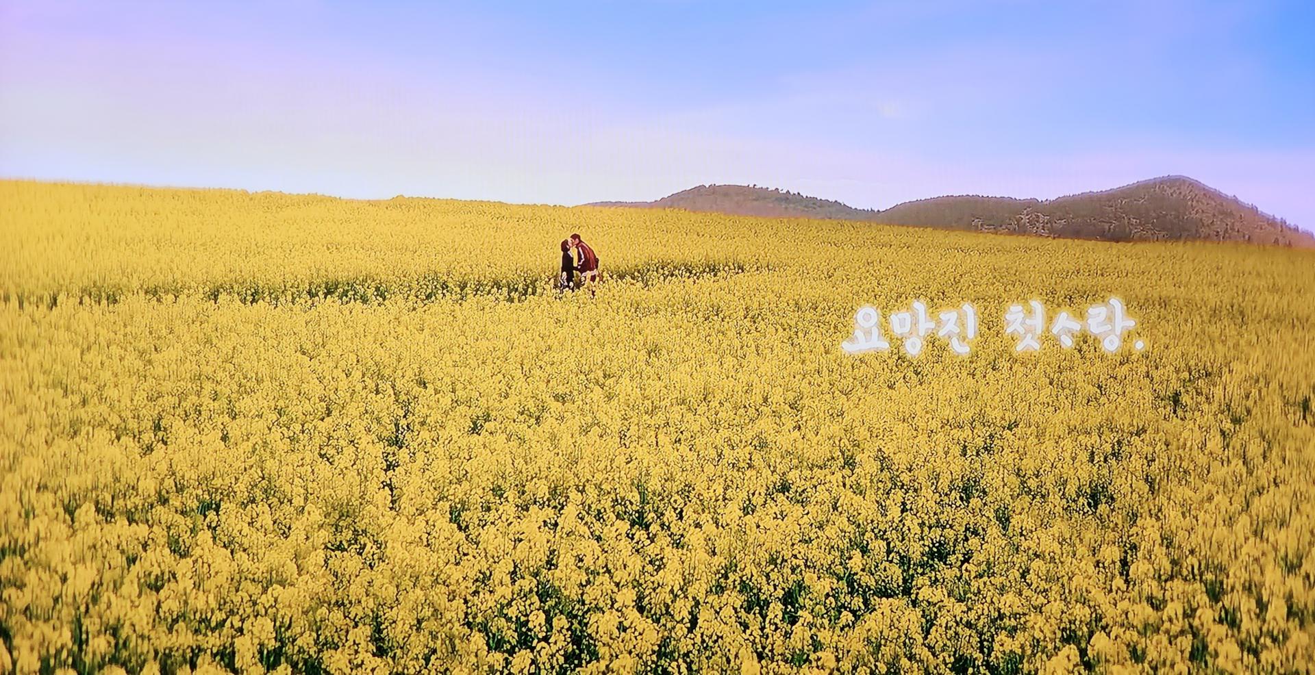 고창 청보리밭 축제, '폭싹 속았수다' 촬영지에서 즐기는 봄🌿