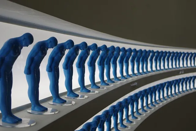 제주 강정항 출발 크루즈 여행 비용 예약 예매_9