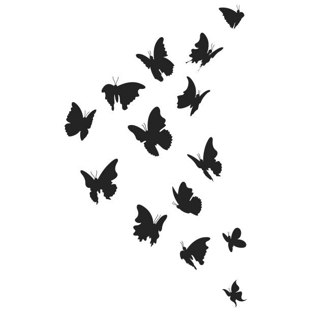 나비와 과거 인연이 연결된 꿈