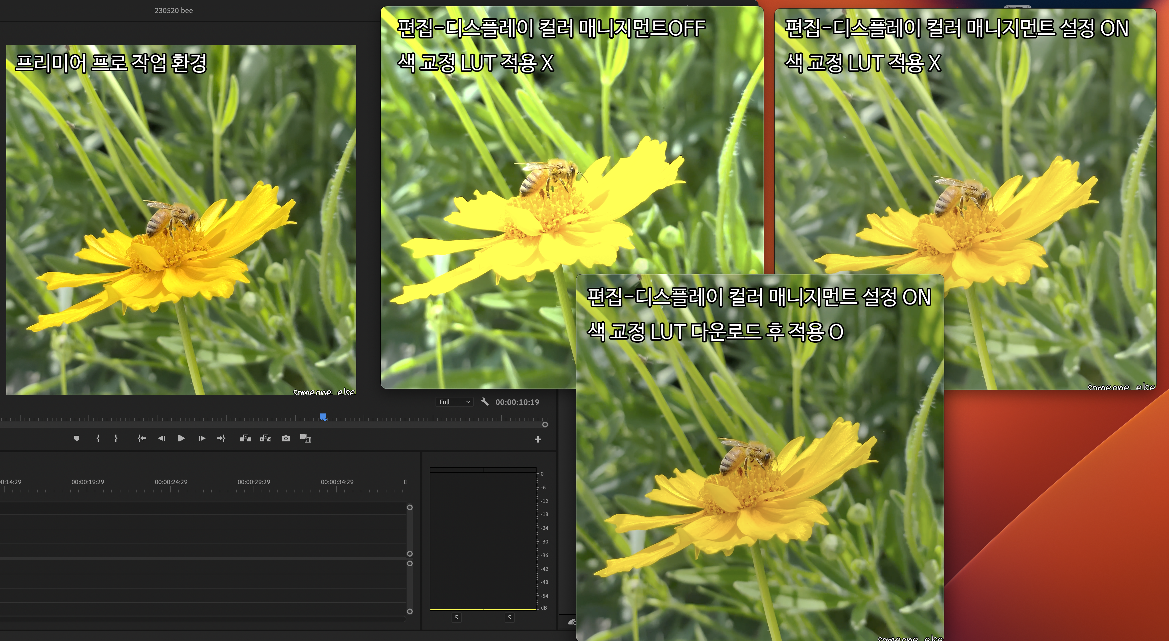 프리미어 프로 내보내기 설정별 비교