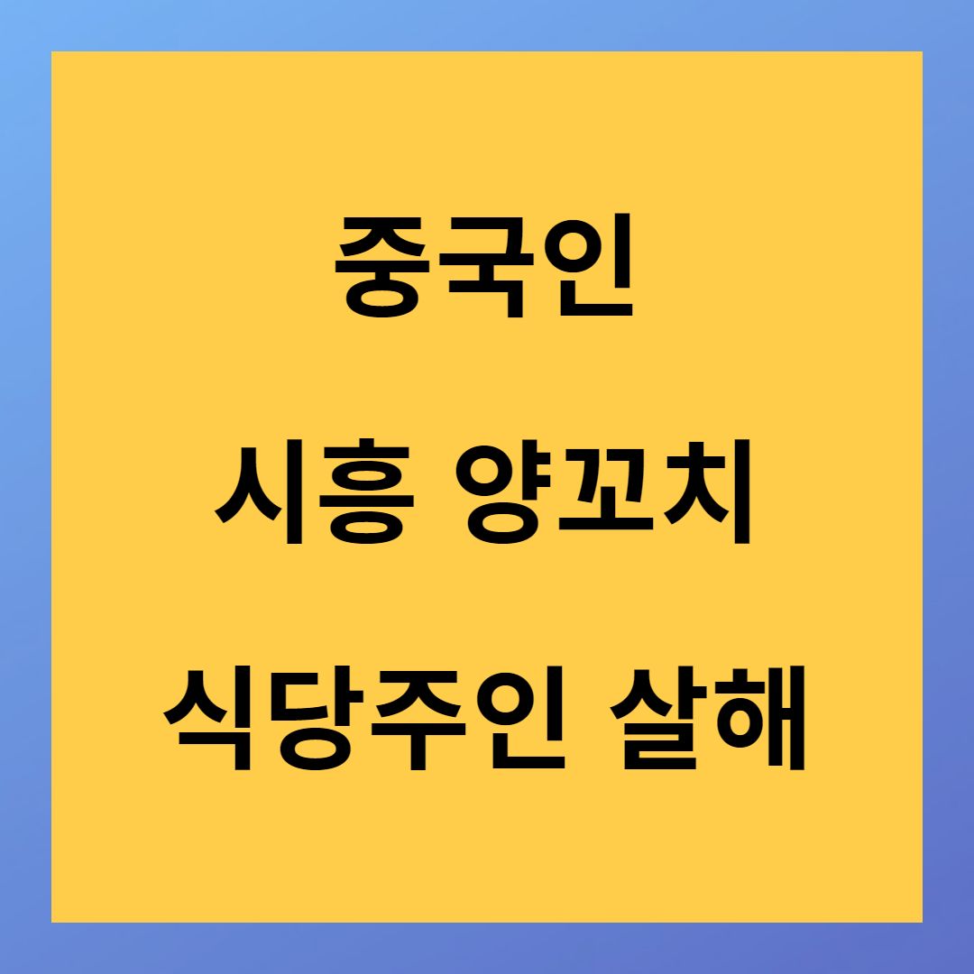 중국인 시흥 양꼬치 식당 주인 살해 후 도주