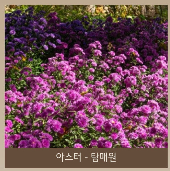 화담숲 화담채 예약 관련 이미지