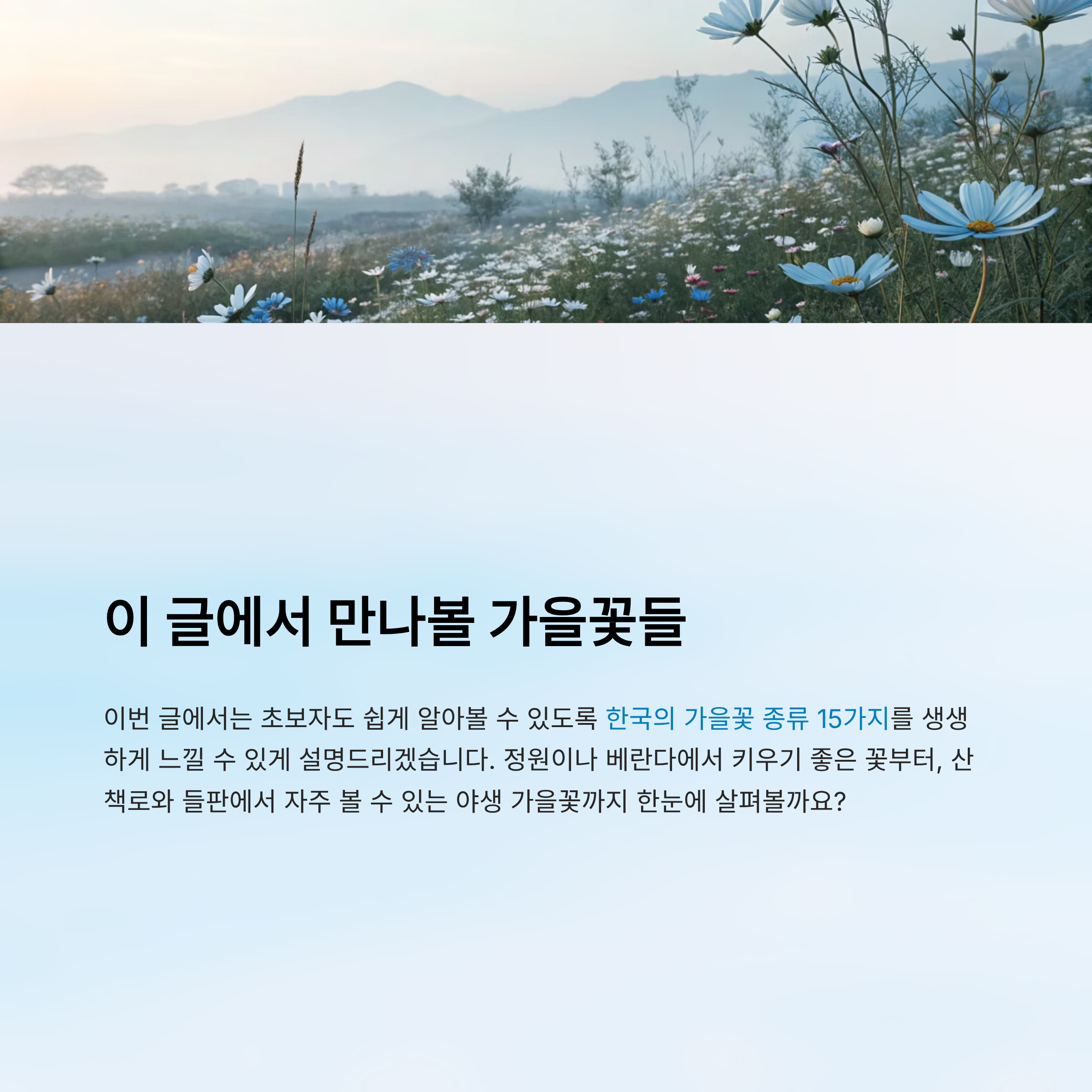 가을꽃 종류 알아보기