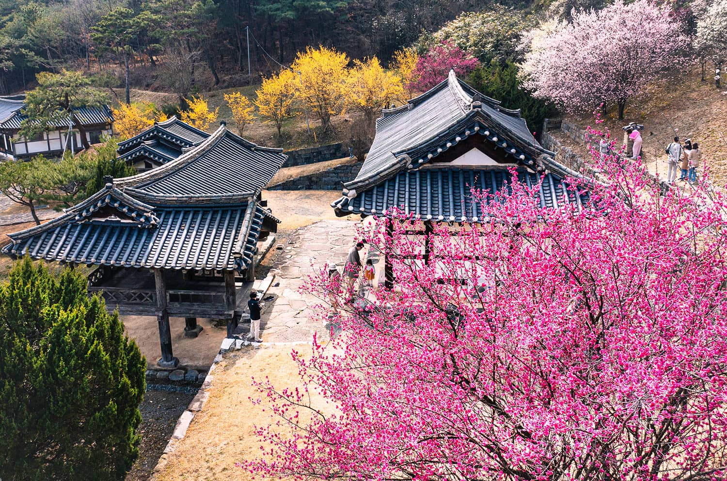 제11경 종학당과 한국유교문화 진흥