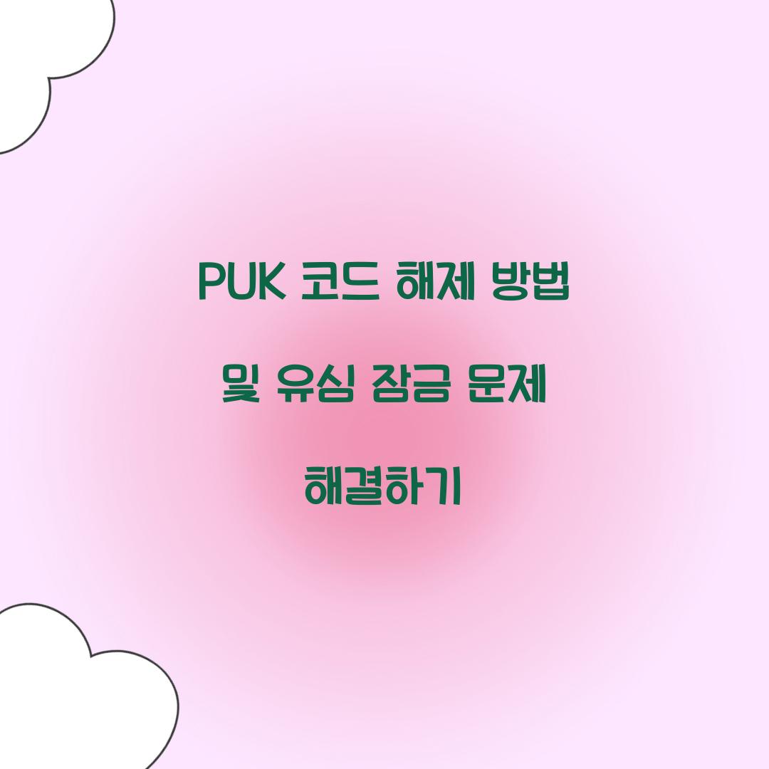 PUK 코드 해제 방법