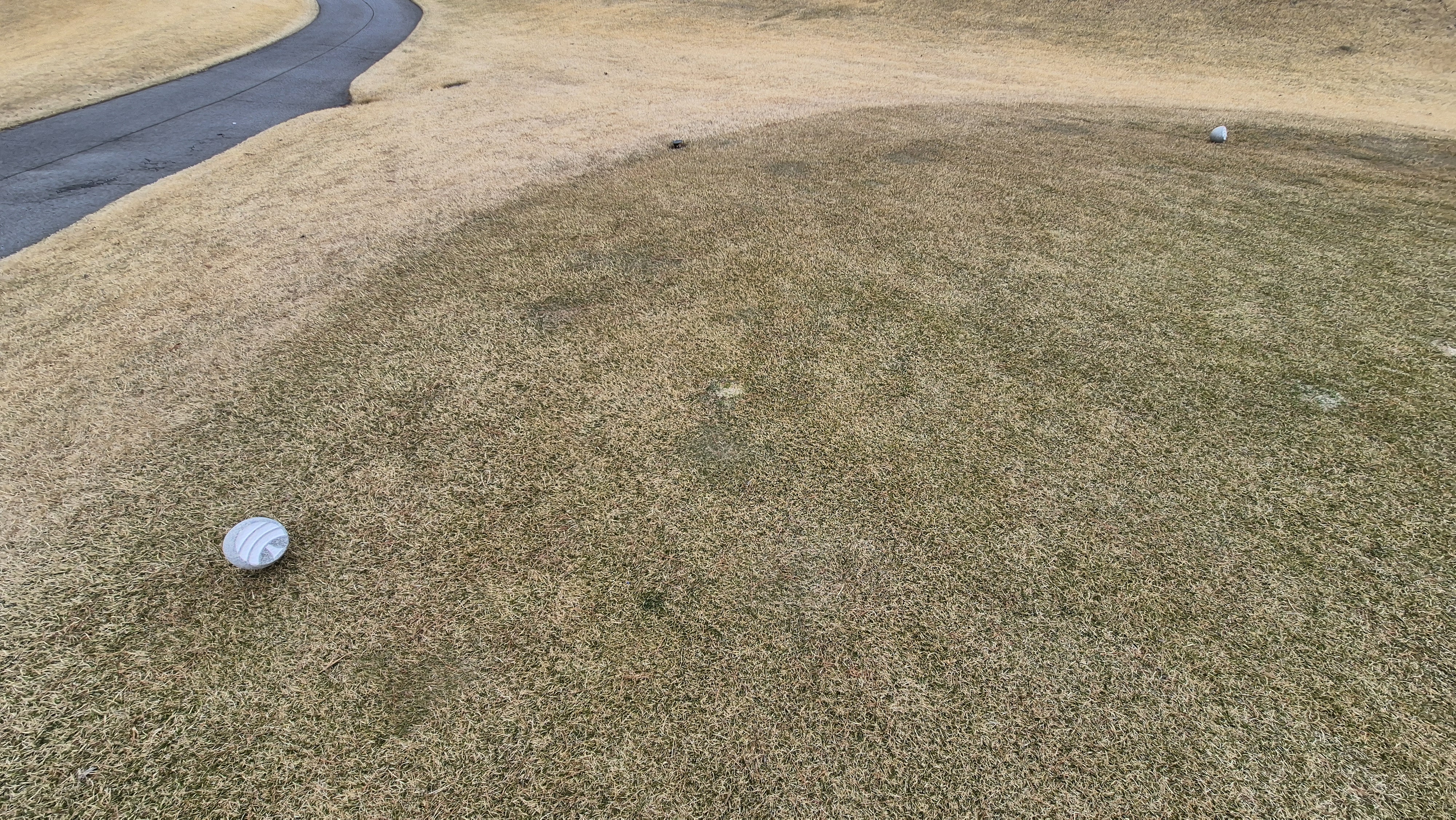 세현cc 티잉구역 상태