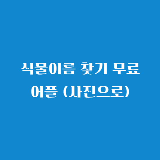 식물이름 찾기 무료 어플 (사진으로)
