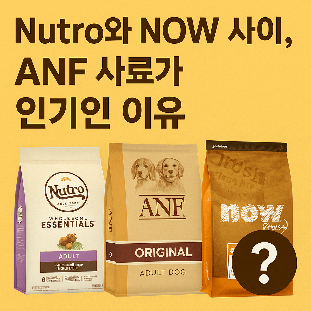 ANF 사료 완벽 비교 리뷰