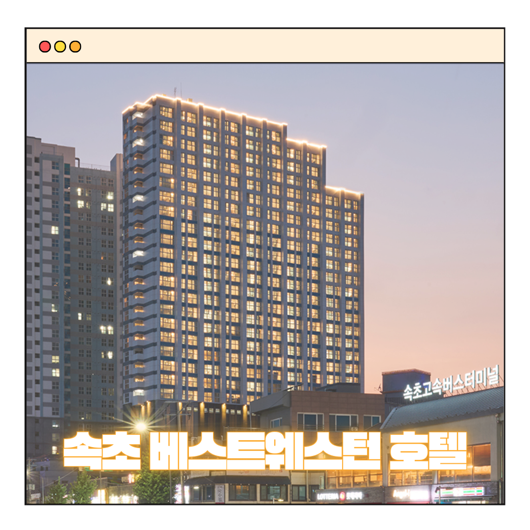 속초 베스트웨스턴 호텔 신상 숙소 여름휴가 할인 5만원