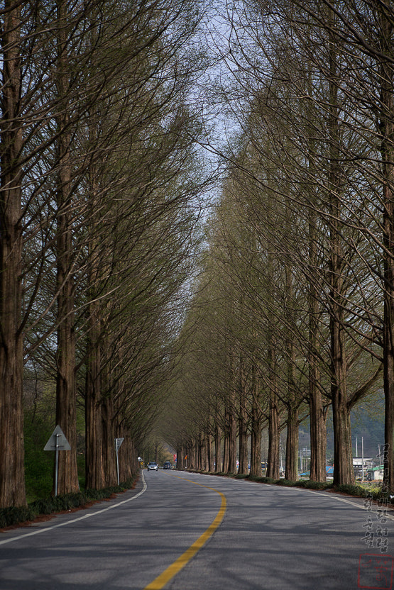 순창 가볼만한곳 베스트10