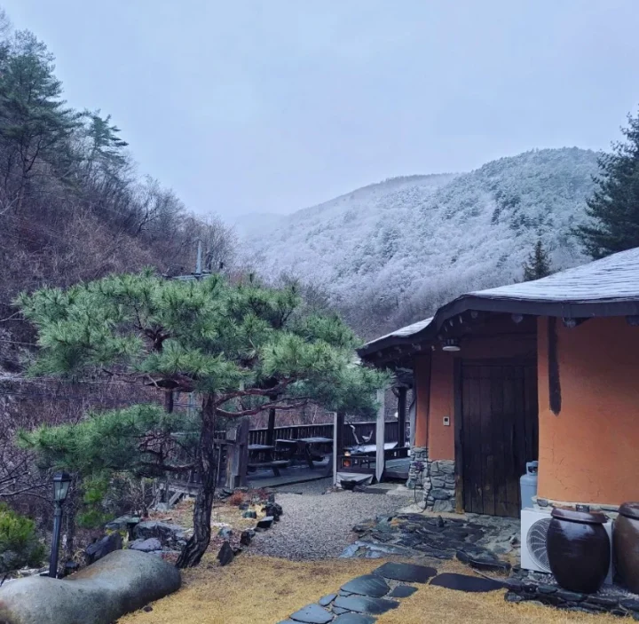 산모랭이-펜션-생방송-오늘저녁-수상한가족