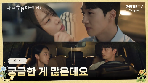 나의 해리에게 정서적 갈망과 내적 갈등