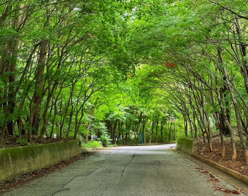해외 여행지 추천