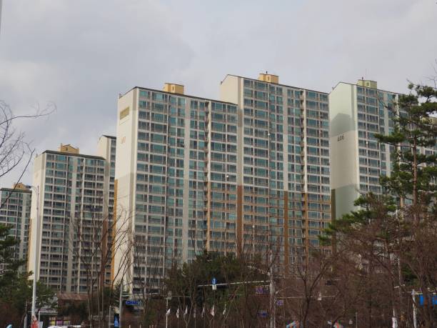 전세자금대출 심사 통과?