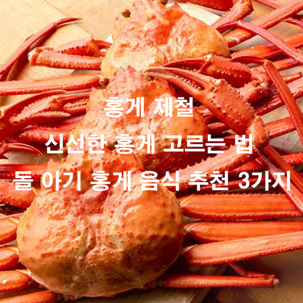 홍게 제철 신선한 홍게 고르는 법 돌 아기 홍게 음식 추천 3가지