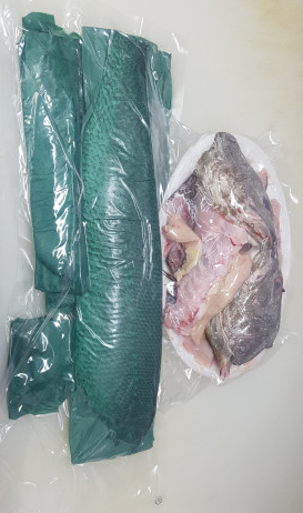 전남 신안 민어 주문 방법