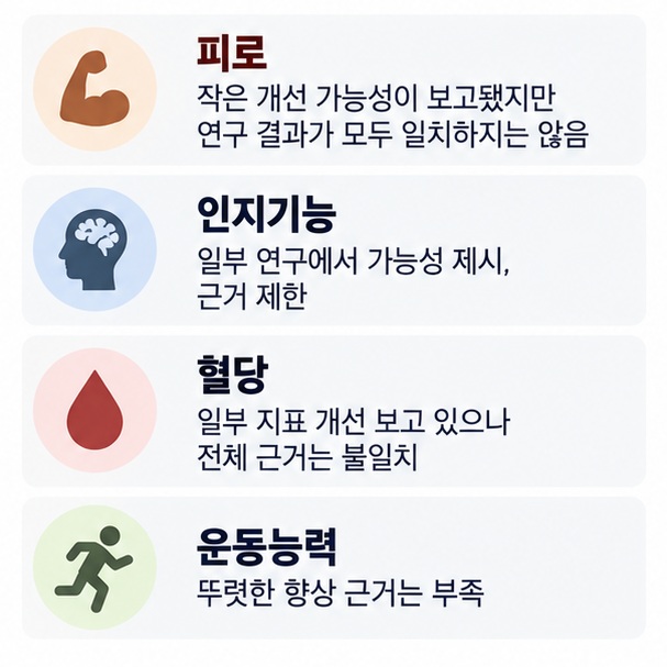 홍삼 연구에서 피로와 인지기능 혈당 등에 대한 가능성이 보고됐지만 효과와 근거가 제한적이라는 점을 설명한 이미지