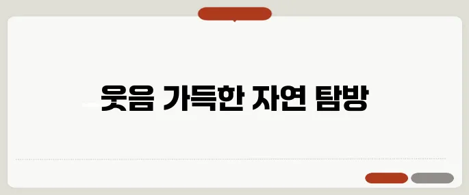 서천 캠핑장에서의 미소가 가득한 하루 살기