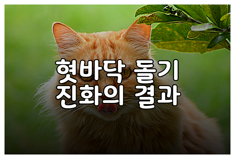 혓바닥 돌기 진화의 결과