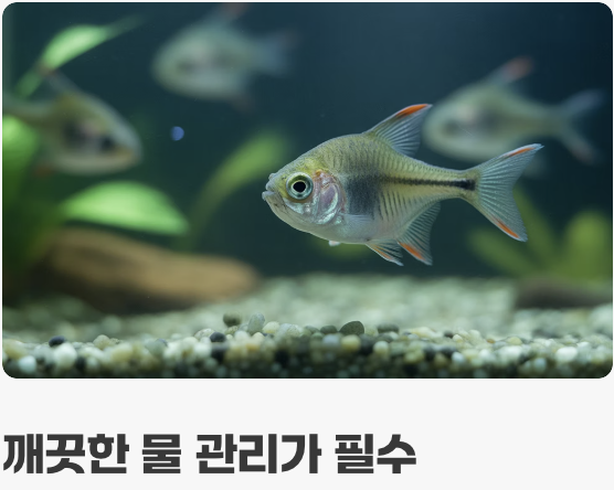 '깨끗한 물'이 최고의 보약