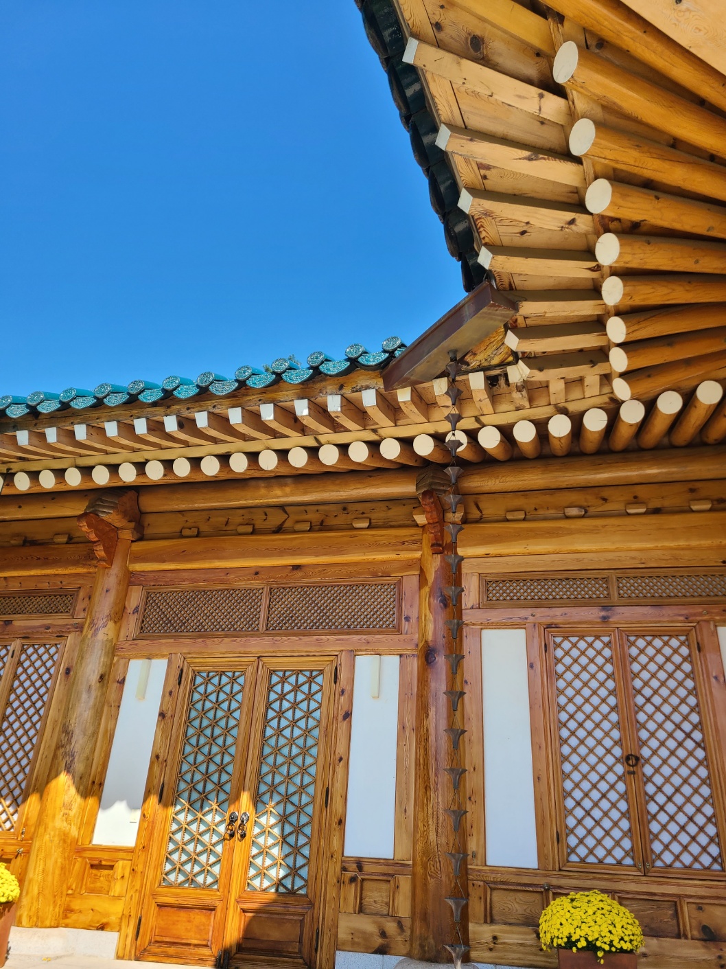 청와대 관람 하기