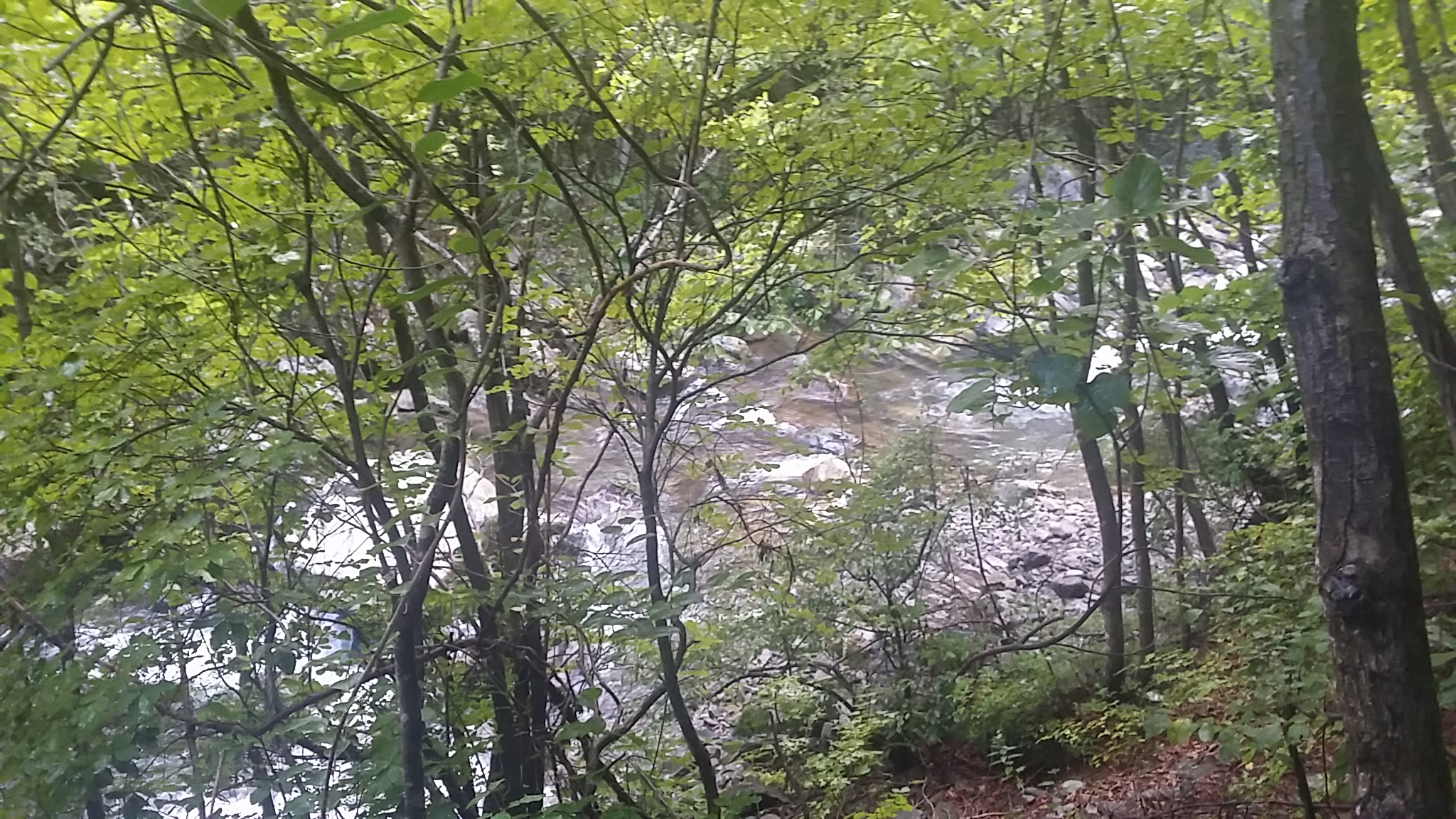 가리왕산자연휴양림