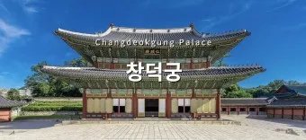 창덕궁 봄 꽃 개화 시기 근처 맛집 10선_25