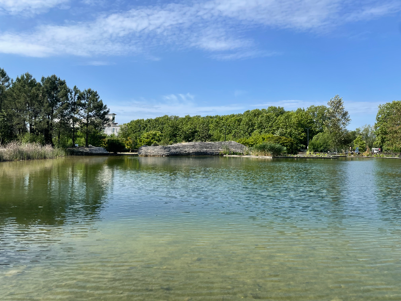 보르도 식물원 5 - 수생정원