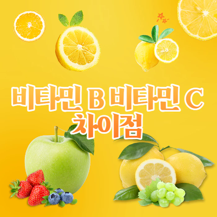 비타민B-비타민C-차이점-효능